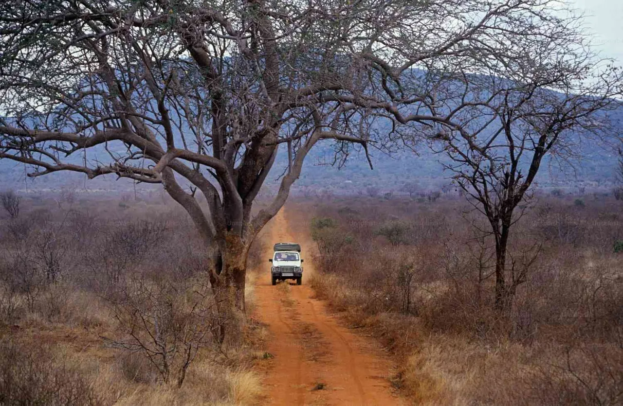Travel Packages