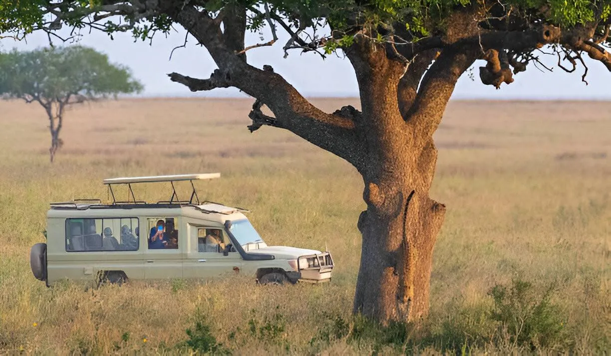 Featured Safari