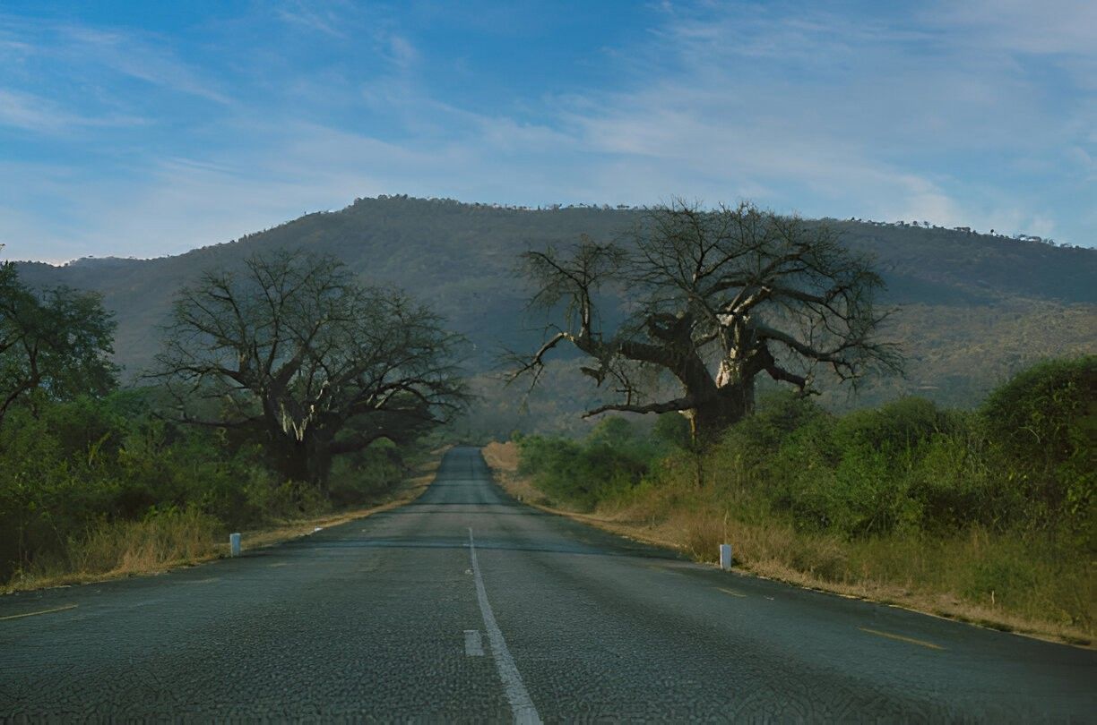 Corporate Incentive Safari
