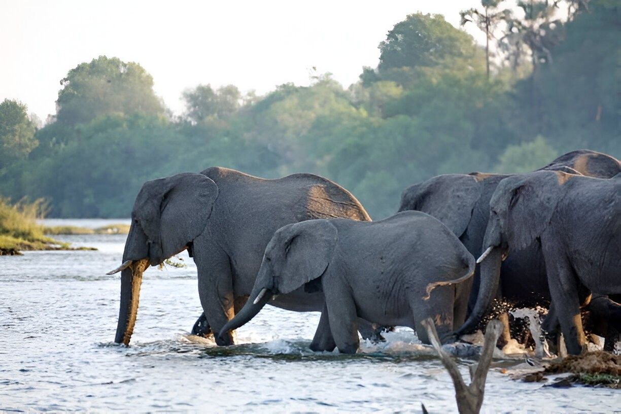 Wildlife Conservation Educational Tour