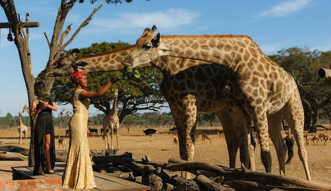 African Heritage Group Tour